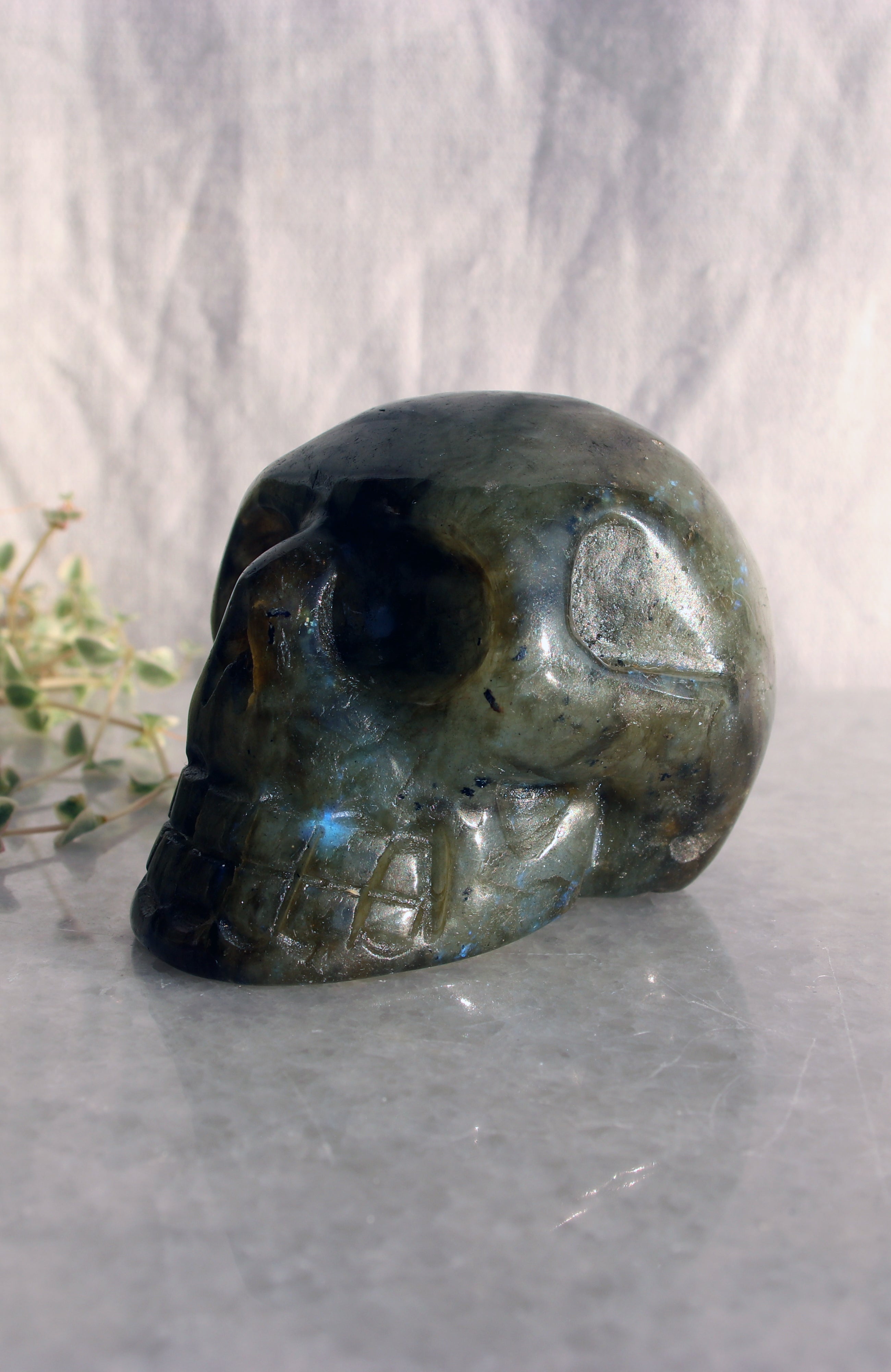 Labradorite Skull